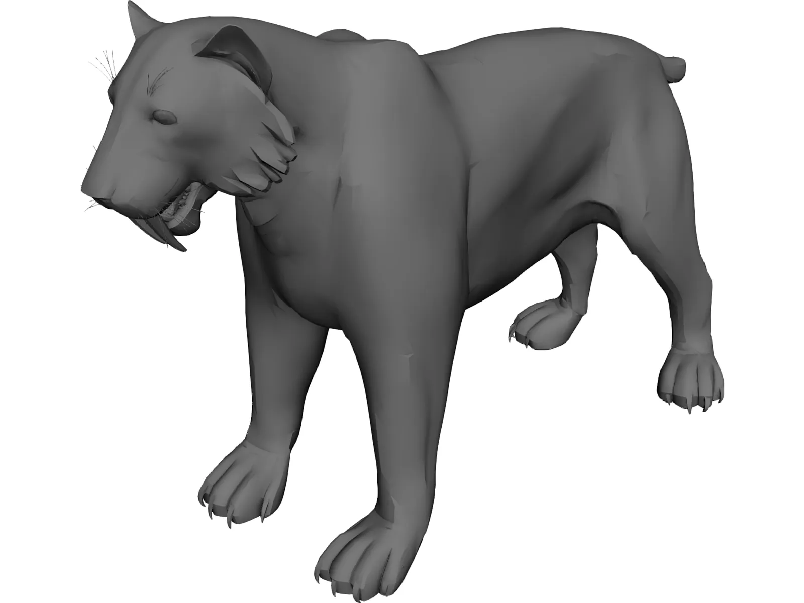 Tiger Saber Tooth 3D Model