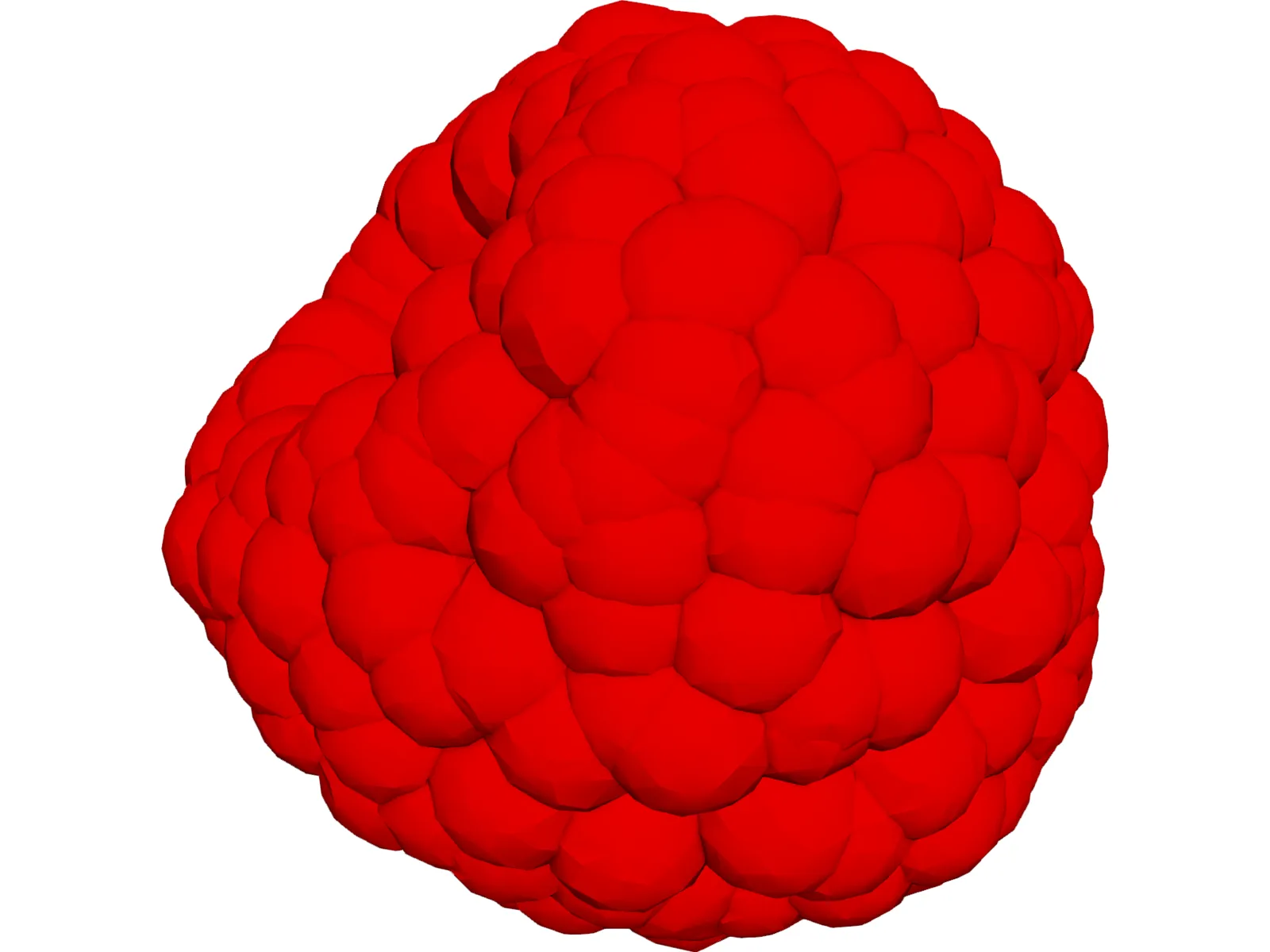 Raspberry 3D Model