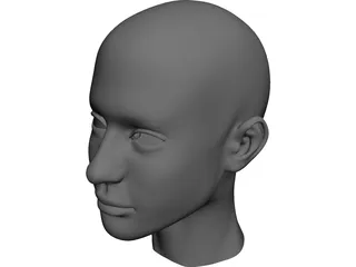 Head 3D Model