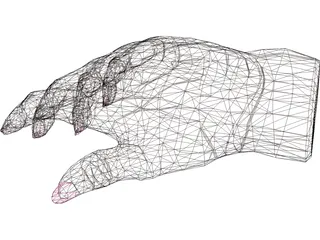 Hand Female 3D Model