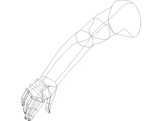 Arm Male 3D Model