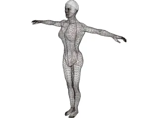 Swimmer Female 3D Model