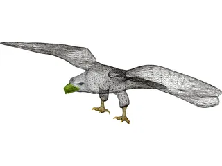 Eagle Bald 3D Model