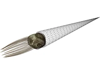 Cephalopode 3D Model