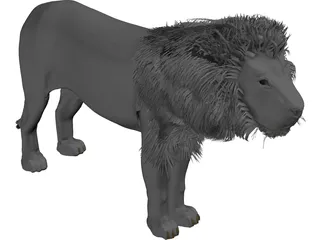 Lion 3D Model