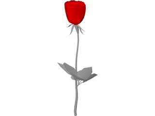 Rose 3D Model