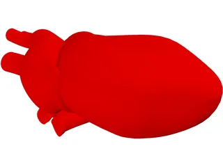 Heart Human 3D Model
