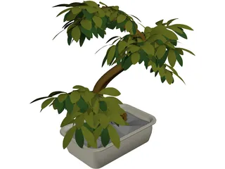 Small Tree 3D Model