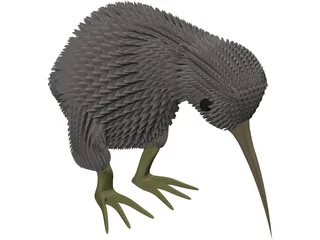 Kiwi Bird 3D Model