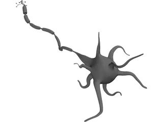 Neuron 3D Model