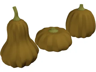 Squash 3D Model