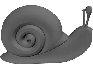 Snail 3D Model