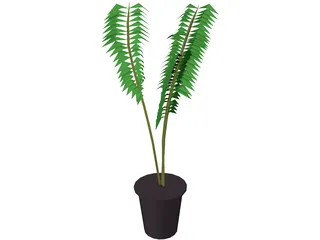Potted Fern 3D Model