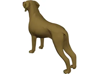 Dog Braco 3D Model