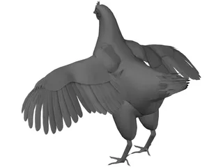 Chicken 3D Model