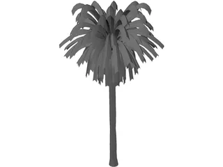 Palm Tree 3D Model