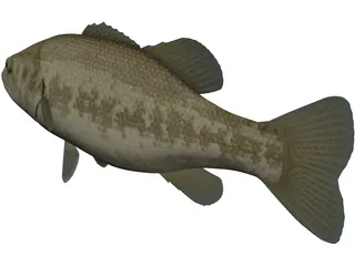 Florida Largemouth Bass 3D Model