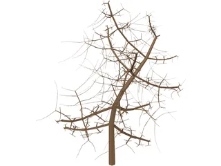 Tree 3D Model