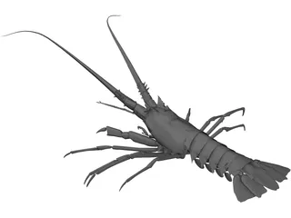Lobster 3D Model
