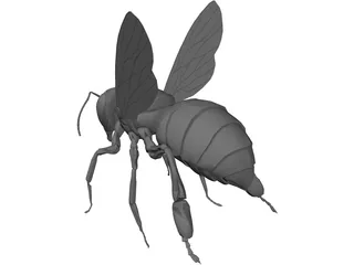 Bee 3D Model