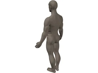 Human 3D Model