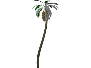 Tree Palm 3D Model