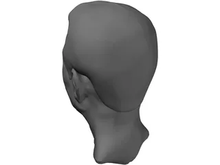 Old Chinaman Head 3D Model
