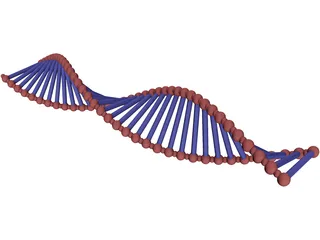 DNA Double Helix 3D Model