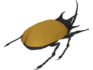 Beetle 3D Model
