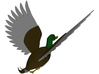 Duck Flying 3D Model