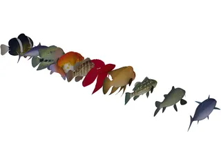 Fish Collection 3D Model