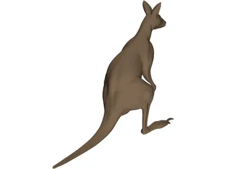 Kangaroo 3D Model
