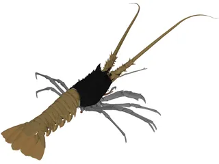 Lobster (Palinurus Elephas) 3D Model