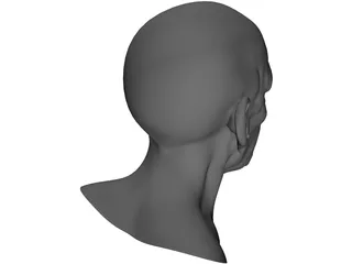 Man Head Old 3D Model