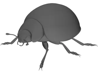 Ladybird 3D Model