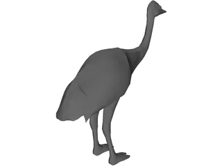 Ostrich 3D Model