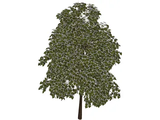 Pine Wood Tree 3D Model