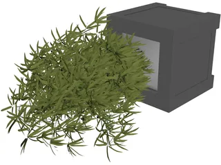 Bamboo Plant 3D Model