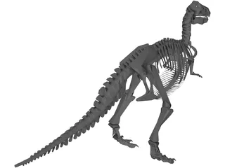 T-Rex Skeleton 3D Model