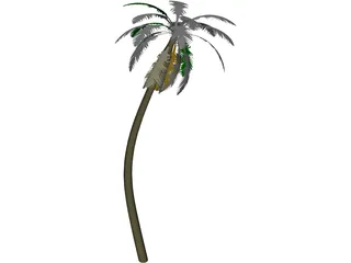 Tree Palm 3D Model
