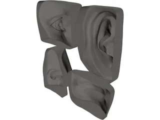 Michelangelo 3D Model