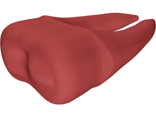 Molar Teeth 3D Model