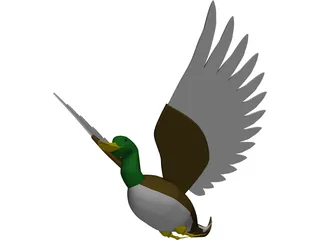 Duck Flying 3D Model