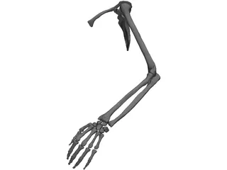 Arm Left 3D Model