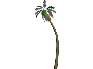Tree Palm 3D Model