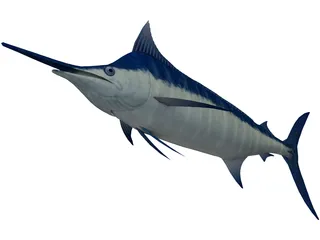 Marlin Blue 3D Model