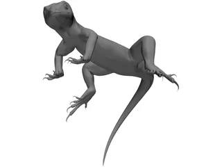 Lizard 3D Model