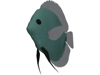 Discus 3D Model