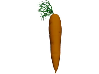 Carrot 3D Model