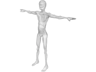 Old Skinny Man  3D Model